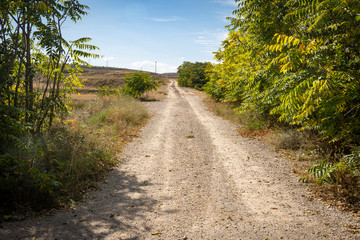 a rural path next to Plou town, province of Teruel, Aragon, Spain