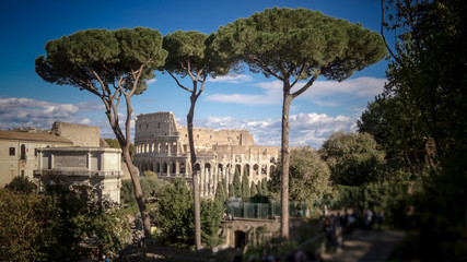 View of Roman Colosseum Through Trees in Rome, Italy, people blurred