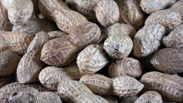 Organic raw unroasted in shell peanuts close up spinning video
