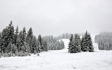 snowy mountains Karpaty in winter morning light. Pylypets, Ukraine