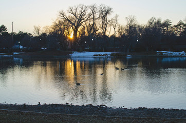 A landscape view of the cool cold winter season on the park pond in the city. 