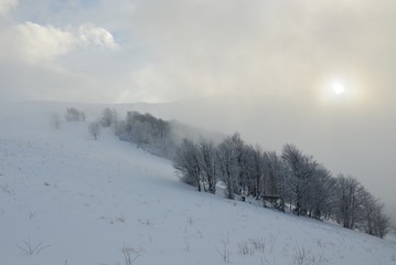 snowy mountains Karpaty in winter morning light