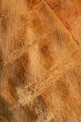 Distressed Wood 4