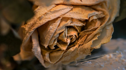 dry rose bouquet close up