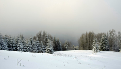 snowy mountains Karpaty in winter morning light. Pylypets, Ukraine