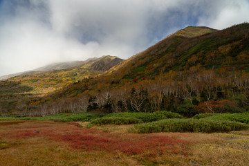 Tsugaike Nature Park in autumn