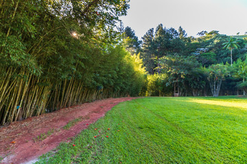 road in countryside at dusk with sunset light
