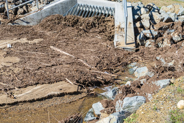 flood control covered in mud and plants from storm