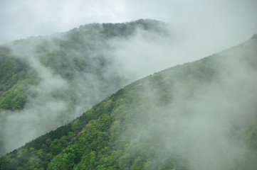 雲晴れる新緑の山