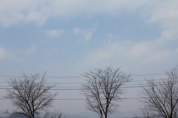 겨울풍경