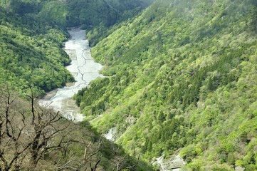 Fototapeta na wymiar 新緑に囲まれるユーシン渓谷