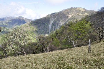 新緑の頃の不動ノ峰