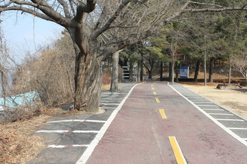 산책로