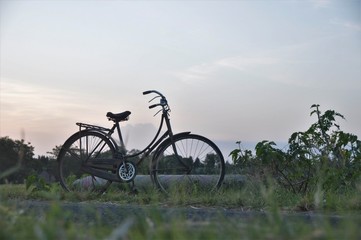 Fototapeta na wymiar Old bicycle in the rice fields