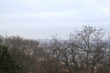 Fototapeta premium View of Istanbul through branches of trees. Urban landscape on a Cloudy spring day. Travel photography.