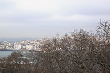 View of Istanbul through branches of trees. Urban landscape on a Cloudy spring day. Travel photography.