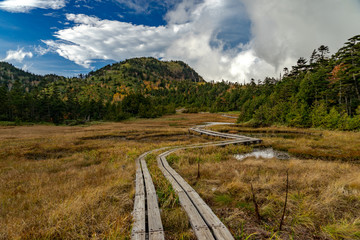 48 Ponds with boardwalk in autumn
