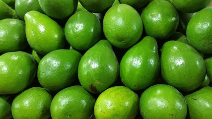 the green avocados