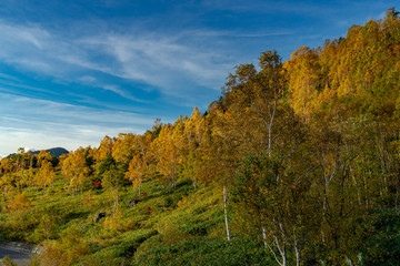Shiga highlands in autumn