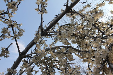 겨울 풍경