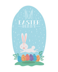 cute rabbit with eggs painted and hand made font