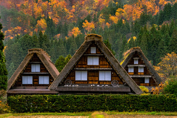 Traditional Japanese farm houses