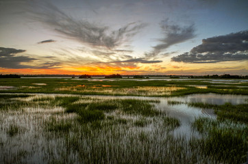 Naklejka premium Marsh Sunset
