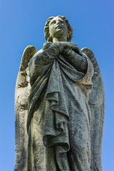 A Stone Angel at Saint Mary's Cemetery
