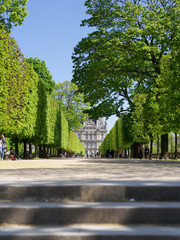 allée du jardin des tuileries à Paris, au fond l'école du Louvres