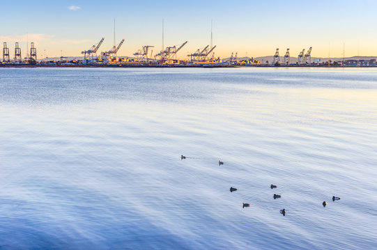 A View of the Port of Oakland from Emeryville