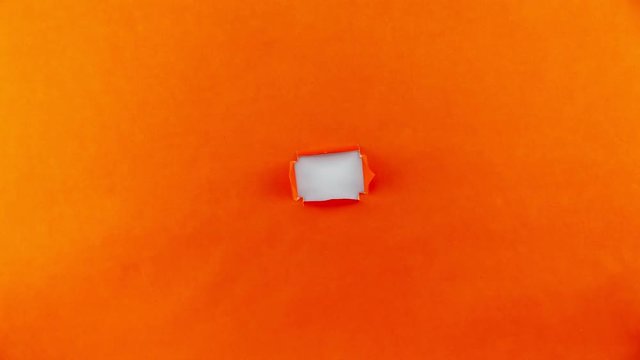 stop motion animation of torn orange paper on white background