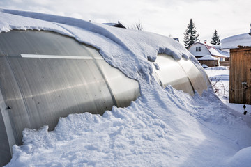Polycarbonate greenhouse in winter. Western Siberia
