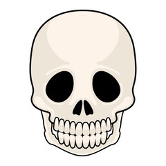 Isolated head skull image. Vector illustration design