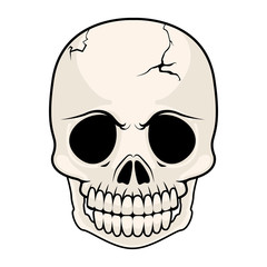 Isolated cracked skull image. Vector illustration design