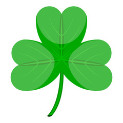 Fototapeta premium Isolated patrick day clover. Vector illustration design