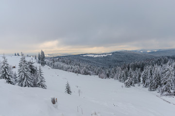 Winter landscape