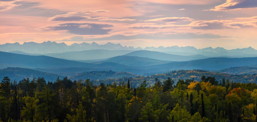 Naklejka na ściany i meble Wide angle panorama autumn forest,misty hills mountain tops in pink dawn