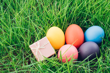 Easter egg on garden grass background,
