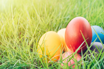 Easter egg on garden grass background,