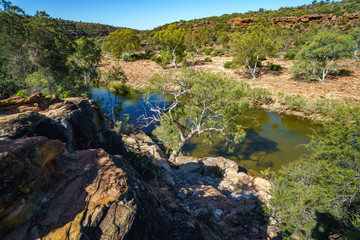 murchison river from ross graham lookout, kalbarri national park, western australia 14