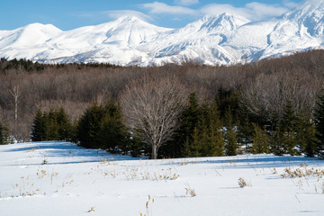 冬の知床・ウトロ　雪をかぶった知床連山（北海道・斜里町・ウトロ）