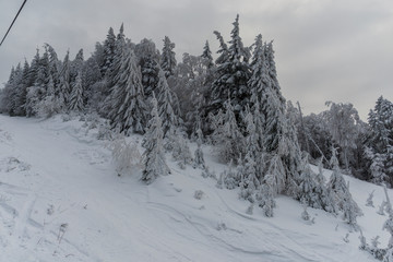 Winter landscape