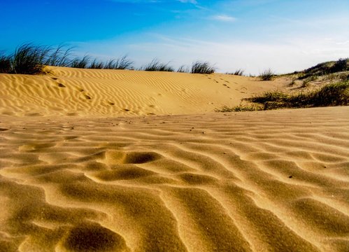 Dunas do balne&aacute;rio Cassino 