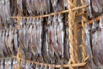 ししゃもの干物 / 北海道 鵡川町