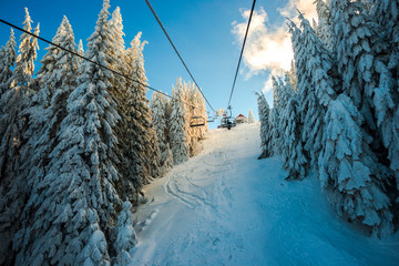 Covered snow trees in Carpathian Mountains