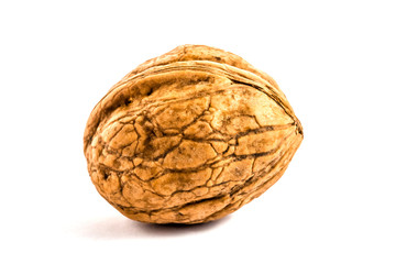 Fototapeta premium walnuts, macro photo