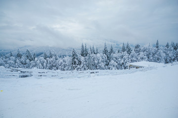 winter landscape in Predeal, Romania