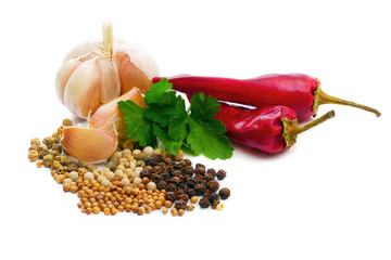 garlic, dry chili peppers, parsley, green black and white peppercorns and coriander isolated on white background