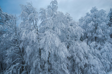 winter landscape in Predeal, Romania
