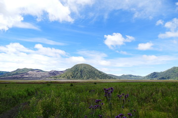 The delightful volcanic complex Bromo Tengger Semeru National Park against the background of...